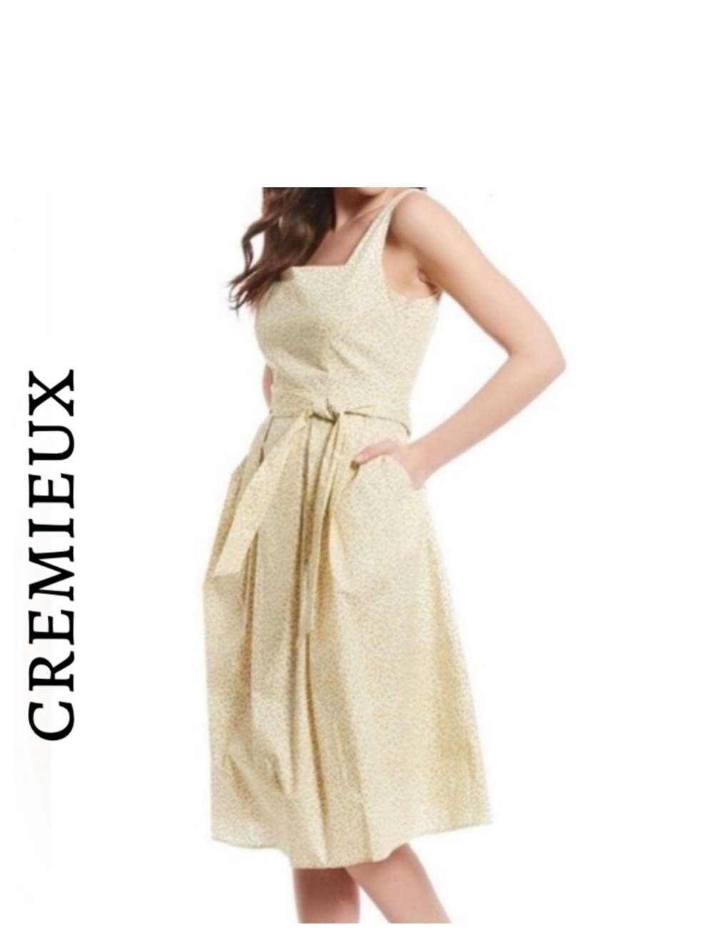 a Daniel Cremieux Sleeveless Yellow Ditsy Print/Lemon Floral Motif Dress